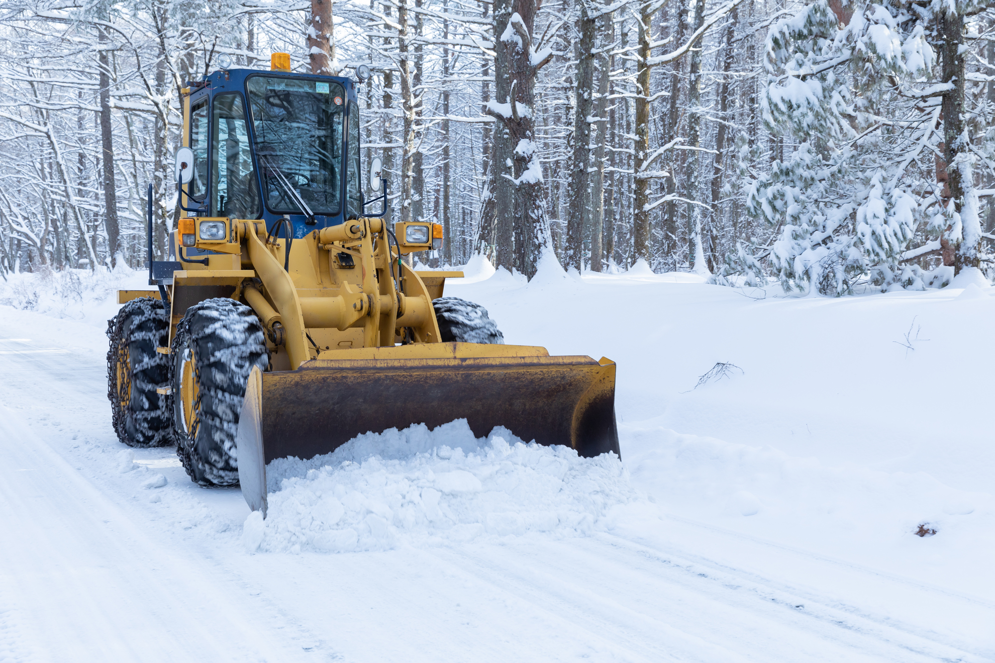 写真：除雪するブルドーザー